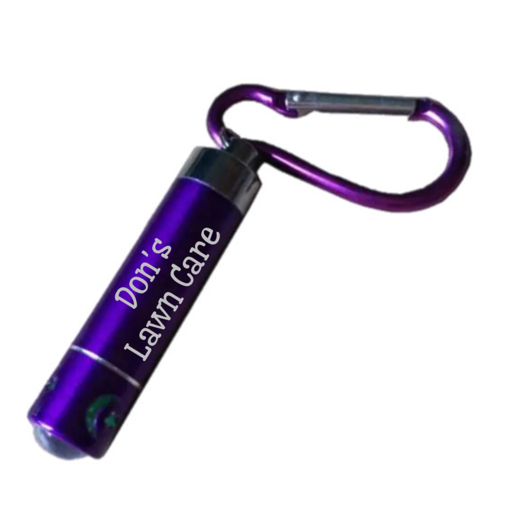 LED key chains