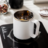 Double Wall Stainless Steel  Insulated Mug