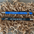 Dealership Salesman Promo Kit
